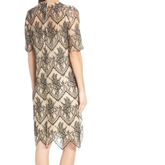 Caara Scalloped Lace Shift Dress Black Beige Size Medium NWT - Picture 7 of 9